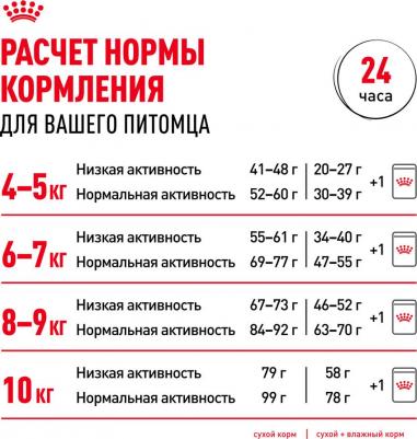 Сухой корм для кошек Maine Coon 31 Adult 4 кг – фото 2