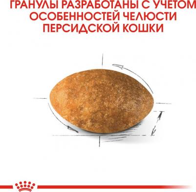 Сухой корм для кошек Persian Adult, персидская, домашняя птица, 10кг – фото 7