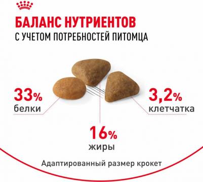 Сухой корм для кошек Savour Exigent, для привередливых к вкусу, 4кг – фото 7