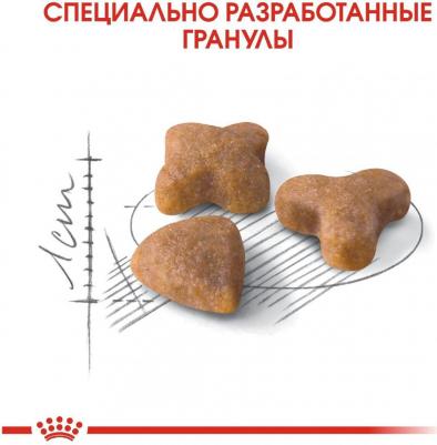 Сухой корм для кошек Sensible 33, при чувствительном пищеварении, 4кг – фото 14