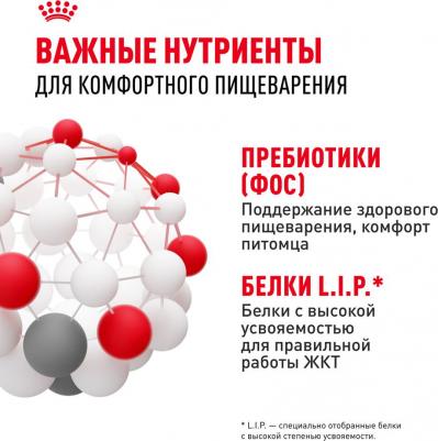 Сухой корм для кошек Sensible 33, при чувствительном пищеварении, 4кг – фото 20