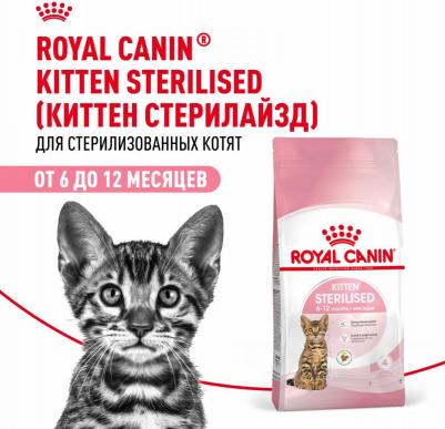 Сухой корм для котят Kitten Sterilised 0,4 кг – фото 2