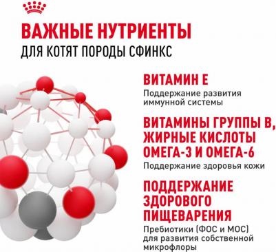 Сухой корм для котят породы сфинкс "Kitten Sphynx", 400 г – фото 9