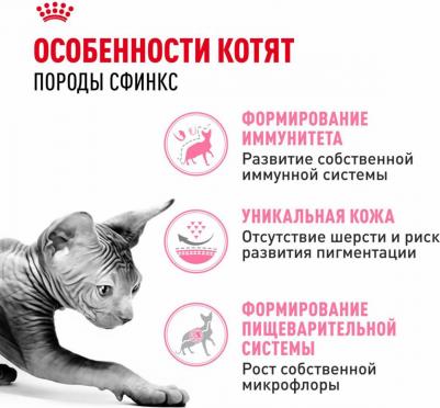 Сухой корм для котят породы сфинкс "Kitten Sphynx", 400 г – фото 15