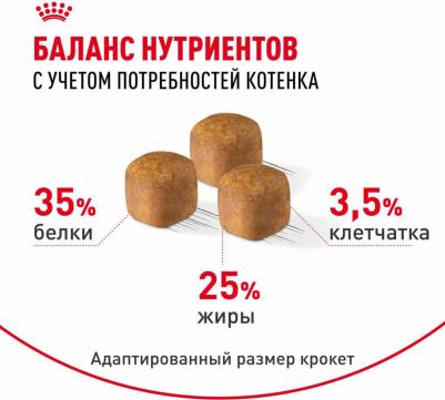 Сухой корм для котят породы сфинкс "Kitten Sphynx", 400 г – фото 17