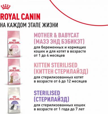 Сухой корм для котят Second Age Kitten, от 4 до 12 месяцев, 4кг – фото 5