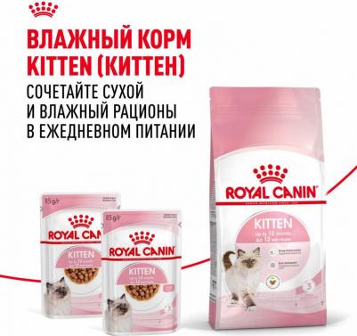 Сухой корм для котят Second Age Kitten, от 4 до 12 месяцев, 4кг – фото 7