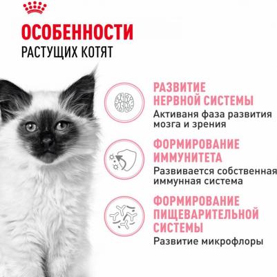 Сухой корм для котят Second Age Kitten, от 4 до 12 месяцев, 4кг – фото 9