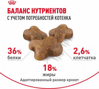 Сухой корм для котят Second Age Kitten, от 4 до 12 месяцев, 4кг – фото 19