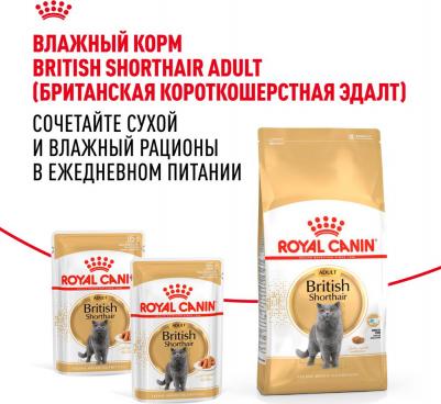 Сухой корм для взрослых кошек British Shorthair Adult, 2 кг – фото 15