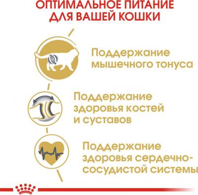 Сухой корм для взрослых кошек British Shorthair Adult, 2 кг – фото 19