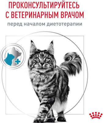 Сухой корм Hypoallergenic для кошек при пищевой аллергии 350 г – фото 10