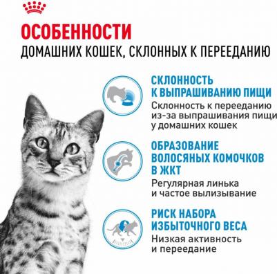 Сухой корм "Indoor Appetite Control" для кошек, живущих в помещении и склонных к перееданию, 400 г – фото 17