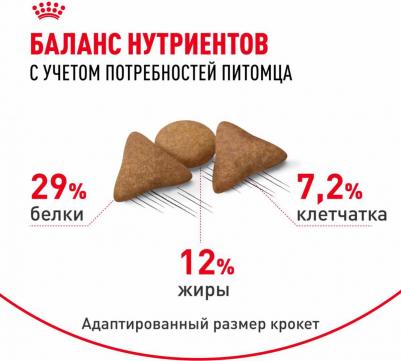 Сухой корм "Indoor Appetite Control" для кошек, живущих в помещении и склонных к перееданию, 400 г – фото 19