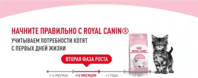 Сухой корм Kitten для котят до 12 месяцев 2кг (535020) – фото 15