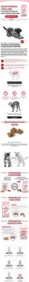 Сухой корм Kitten для котят до 12 месяцев 2кг (535020) – фото 19
