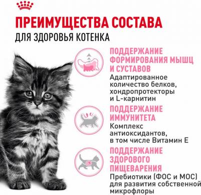 Сухой корм Kitten Maine Coon для котят породы мейн-кун от 3 до 15 мес 2 кг – фото 3