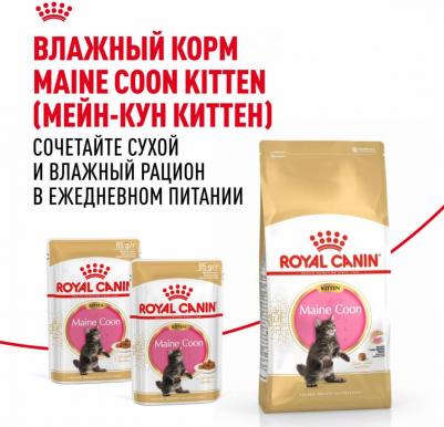 Сухой корм Kitten Maine Coon для котят породы мейн-кун от 3 до 15 мес 2 кг – фото 11