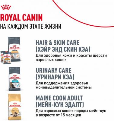 Сухой корм Kitten Maine Coon для котят породы мейн-кун от 3 до 15 мес 2 кг – фото 13