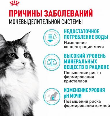 Сухой корм Urinary Care профилактика МКБ для кошек 4кг (553040) – фото 12