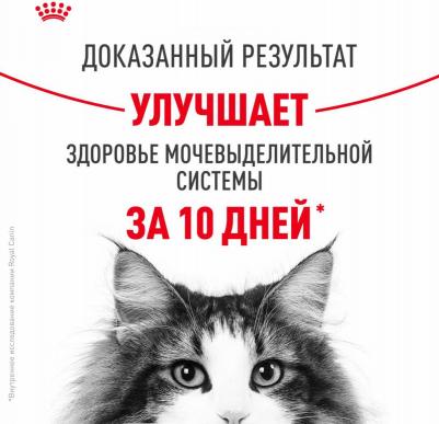 Сухой корм Urinary Care профилактика МКБ для кошек 4кг (553040) – фото 16