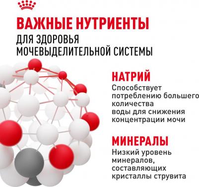 Urinary Care влажный корм для кошек, для поддержания здоровья мочевыделительной системы, кусочки в соусе, в паучах - 85 г супер премиум для взрослых – фото 2