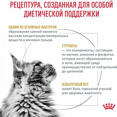 Вет. корма (вет. паучи) – фото 3