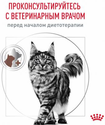 (вет. паучи) кусочки в соусе для кошек при лечении ЖКТ (85 г) – фото 2