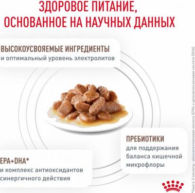 Влажный корм для кошек Gastro Intestinal, при проблемах с ЖКТ, с птицей 6 шт. х 85 г – фото 3
