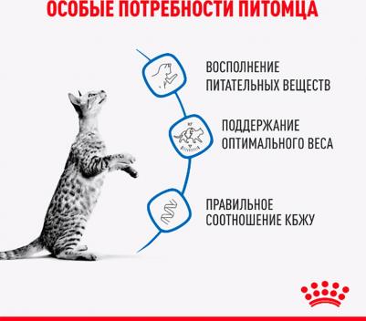 Влажный корм для кошек Indoor Sterilised, живущих в помещении, 28 шт по 85 гр – фото 8