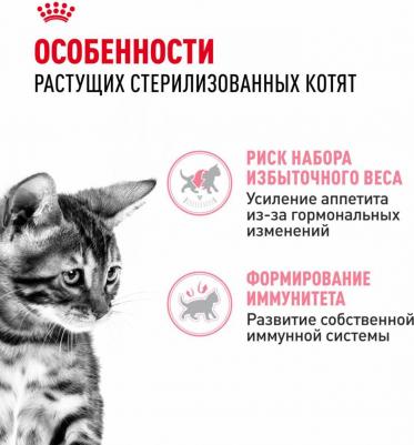 Влажный корм для стерилизованных котят, кусочки в желе, 28 шт по 85 гр – фото 4