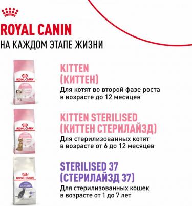 Влажный корм для стерилизованных котят, кусочки в желе, 28 шт по 85 гр – фото 6