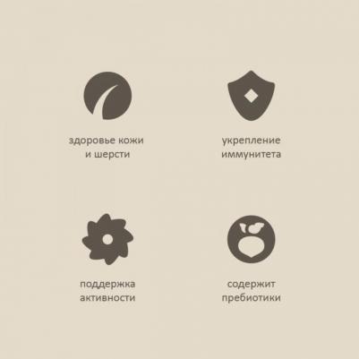 сухой корм беззерновой корм для кошек с лососем и белой рыбой, GRAIN FREE ADULT, Salmon & White Fish, 2 кг – фото 2