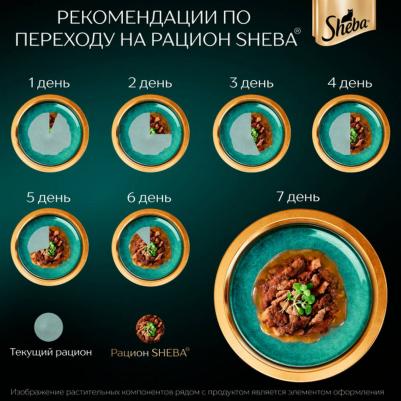 Корм для кошек говядина кролик в соусе пауч 75г – фото 10
