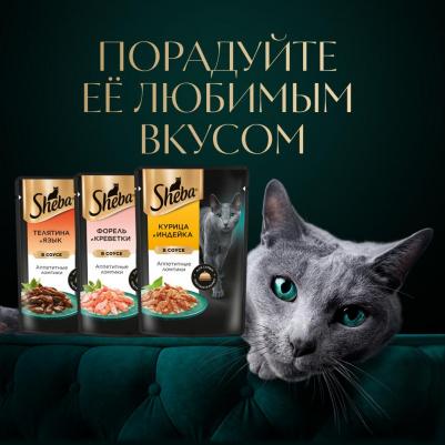 Корм для кошек курица индейка пауч 75г – фото 10