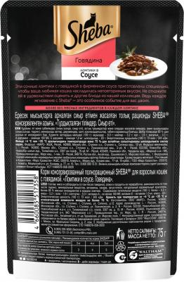 Корм для кошек ломтики в соусе говядина пауч 75г – фото 14