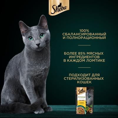 Nature's Collection влажный корм для кошек, с курицей и паприкой – фото 5