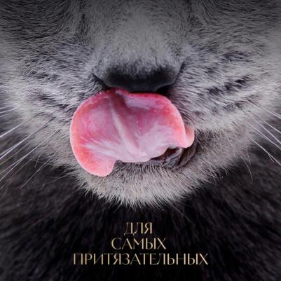 Влажный корм для кошек Ломтики в соусе с курицей и кроликом, 75г – фото 13