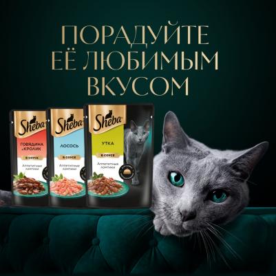 Влажный корм для кошек Ломтики в соусе с уткой, 28 штук по 75 г – фото 17