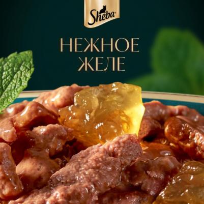 Влажный корм для кошек ломтики в желе с форелью 28 шт по 75 гр – фото 5