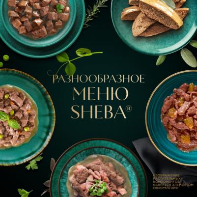 Влажный корм для взрослых кошек Суп Коллекция, с добавлением форели, 70 гр – фото 3