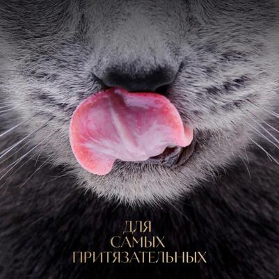 Влажный корм для взрослых кошек Суп Коллекция, с добавлением форели, 70 гр – фото 6