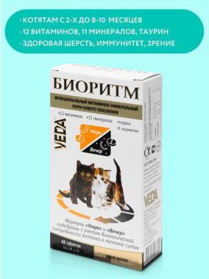 Витаминный комплекс для котят Биоритм, 48 таб – фото 6