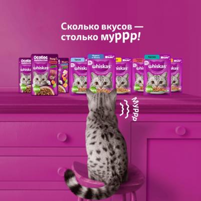 для кошек, полнорационный, желе, с ФОРЕЛЬЮ и ЛОСОСЕМ, в паучах - 75 г повседневный премиум для взрослых с лососем для всех пород паучи 1 уп. х 28 шт – фото 5