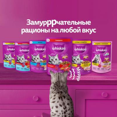 Сухой корм ассорти с курицей и индейкой и подушечки с паштетом для кошек 5кг – фото 6