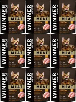 Корм сухой Meat полнорационный из ароматной курочки для взрослых кошек старше 1 года 300 г