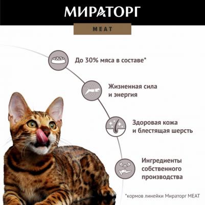 Корм сухой Meat полнорационный из ароматной курочки для взрослых кошек старше 1 года 300 г – фото 11