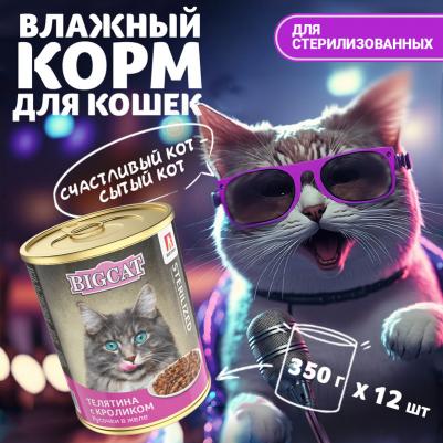 Корм влажный для кошек "Big Cat | Телятина с кроликом", кусочки в желе, 350 г
