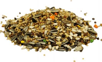 Корм для средних попугаев "Classic", 650 г – фото 6