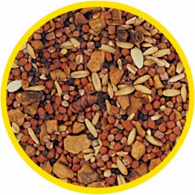 Витаминчик для птиц общеукрепляющий 50г – фото 2